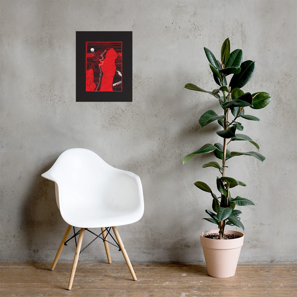 Monkey Face black poster