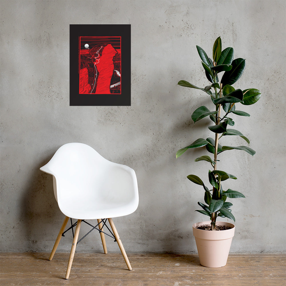 Monkey Face black poster